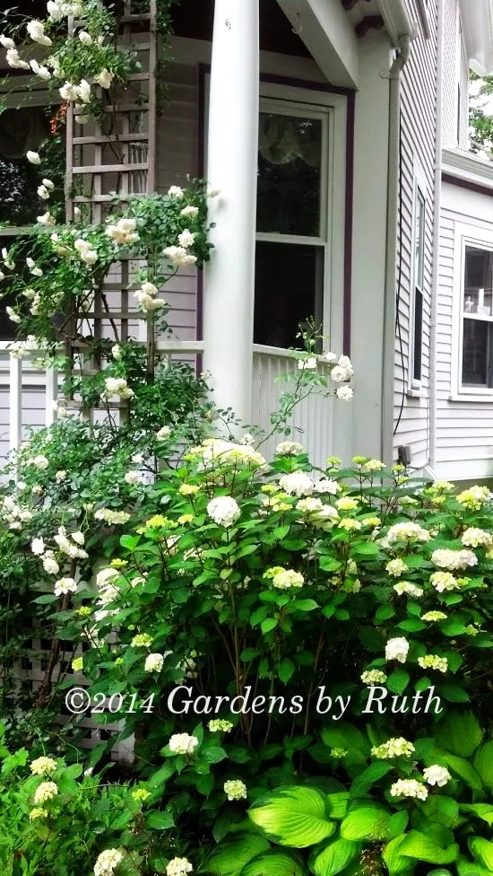 Top-rated outdoor landscaping experts serving Somerville, MA - Gardens By Ruth