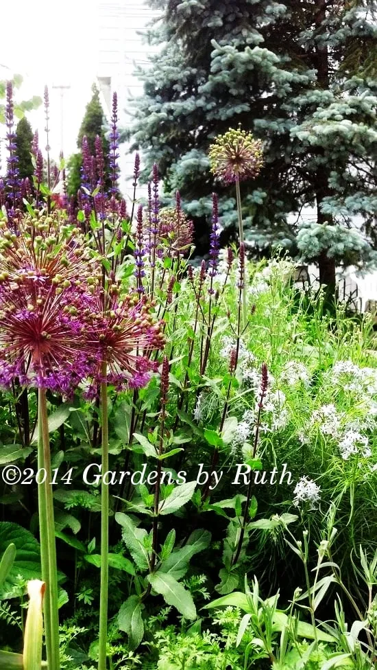 Expert residential landscaping for beautiful yards across Somerville, MA - Gardens By Ruth
