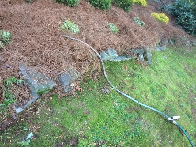 Professional landscaping services in Canton, GA - Garden's Edge Landscaping