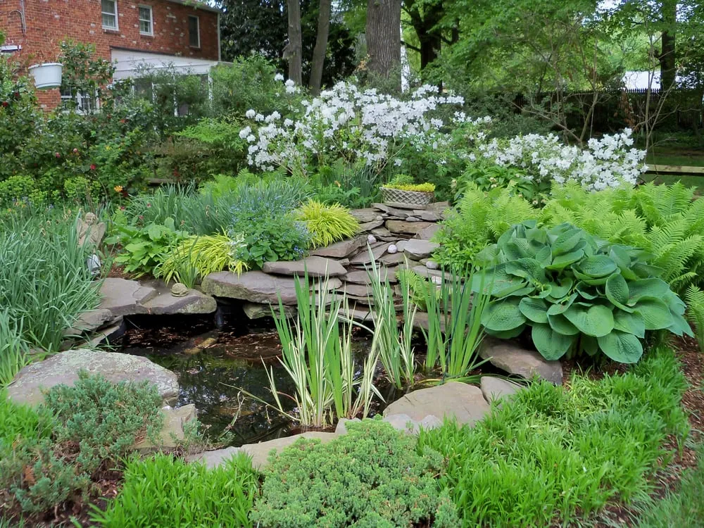 Reliable yard maintenance in Mount Rainier, MD - Gardens For All Seasons Inc