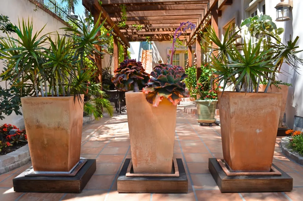 Trusted outdoor landscaping experts serving Long Beach, CA - Gardens For All Seasons