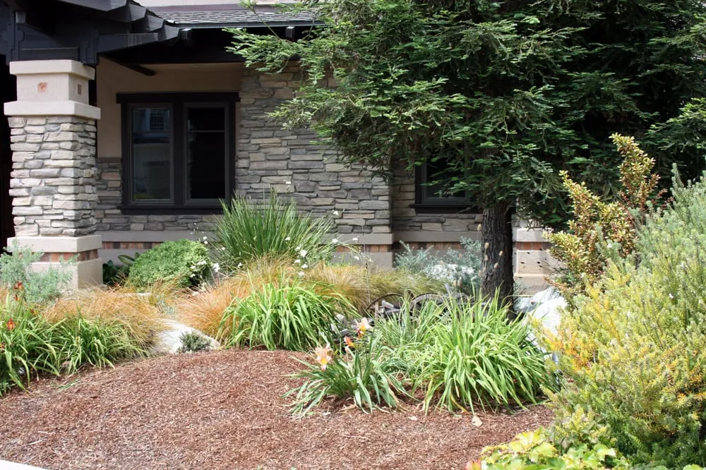 Trusted outdoor landscaping experts serving Long Beach, CA - Gardens For All Seasons