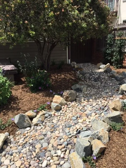 Professional landscape design in Long Beach, CA - Gardens For All Seasons