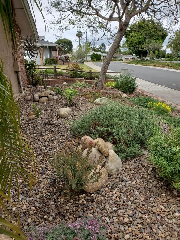 Trusted landscaping services in San Diego, CA by Gardens for the Future