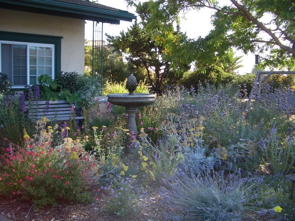 Local garden landscaping experts serving San Diego, CA - Gardens for the Future