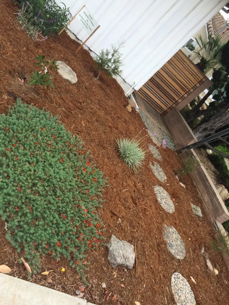 Affordable outdoor landscaping for residential properties in San Diego, CA by Gardens for the Future