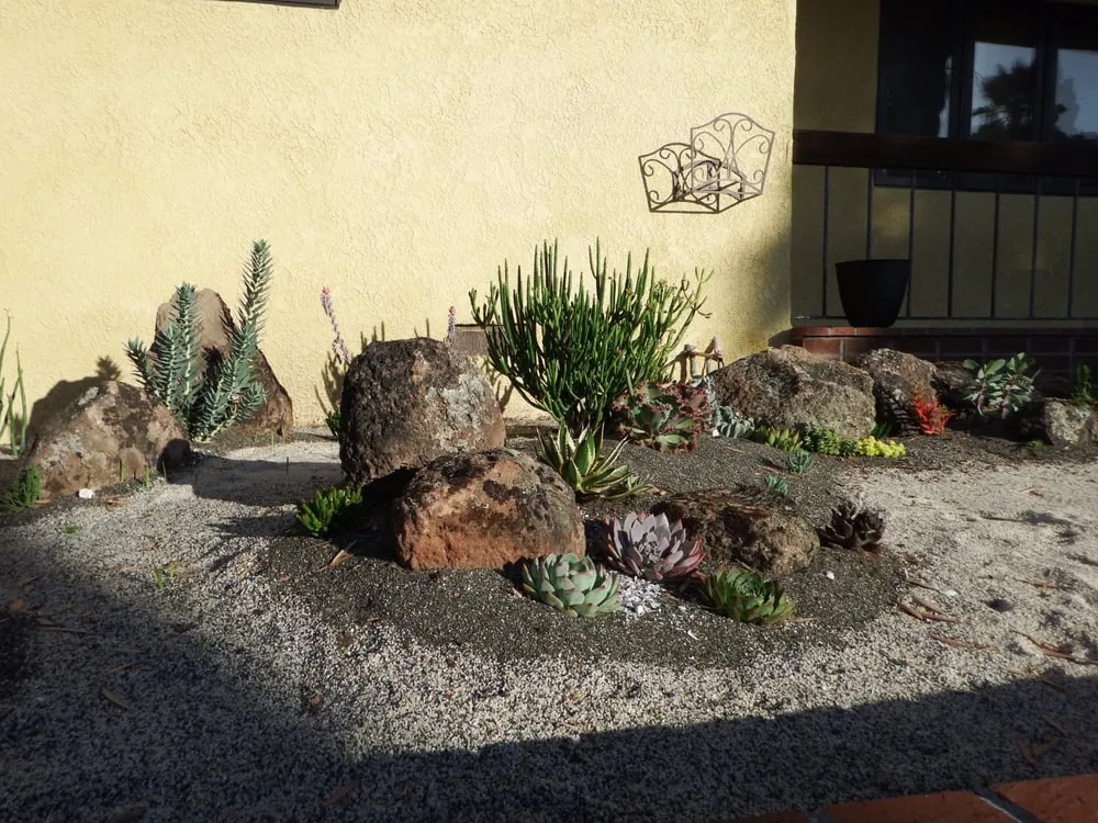 Custom landscape design experts serving San Diego, CA - Gardens for the Future