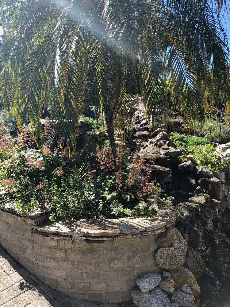 Expert garden landscaping in San Diego, CA - Gardens for the Future