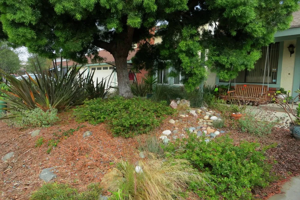 Local landscape design experts serving San Diego, CA - Gardens for the Future