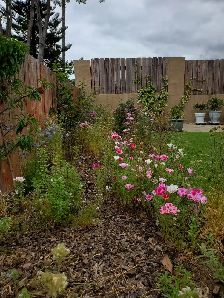 Custom landscaping services for outdoor upgrades in San Diego, CA by Gardens for the Future