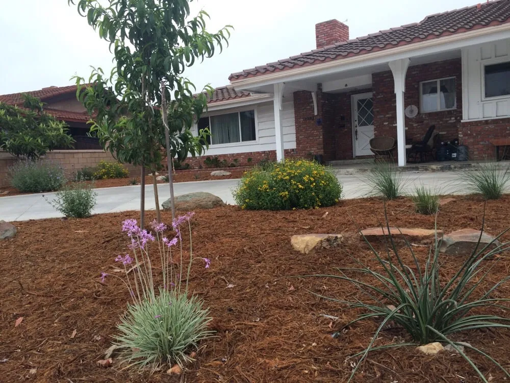 Custom lawn care service for year-round maintenance in San Diego, CA by Gardens for the Future