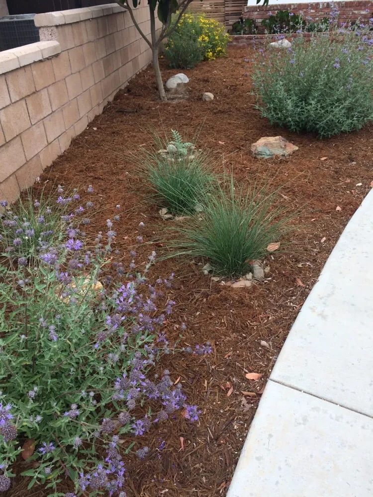 Local landscape design experts serving San Diego, CA - Gardens for the Future