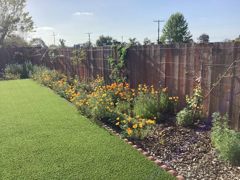 Expert landscape design in San Diego, CA by Gardens for the Future