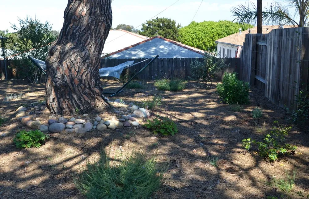 Reliable landscaping services experts serving San Diego, CA - Gardens for the Future