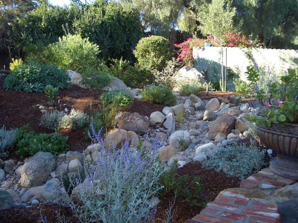 Affordable landscaping services for year-round maintenance across San Diego, CA - Gardens for the Future