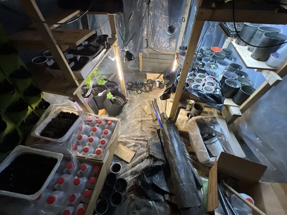 Affordable garden landscaping for homes in Shillington, PA by Gardens Gone Raised