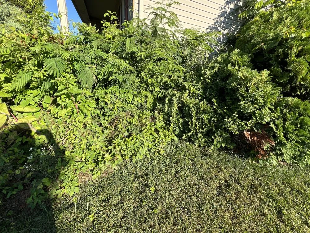 Custom landscape installation in Shillington, PA by Gardens Gone Raised