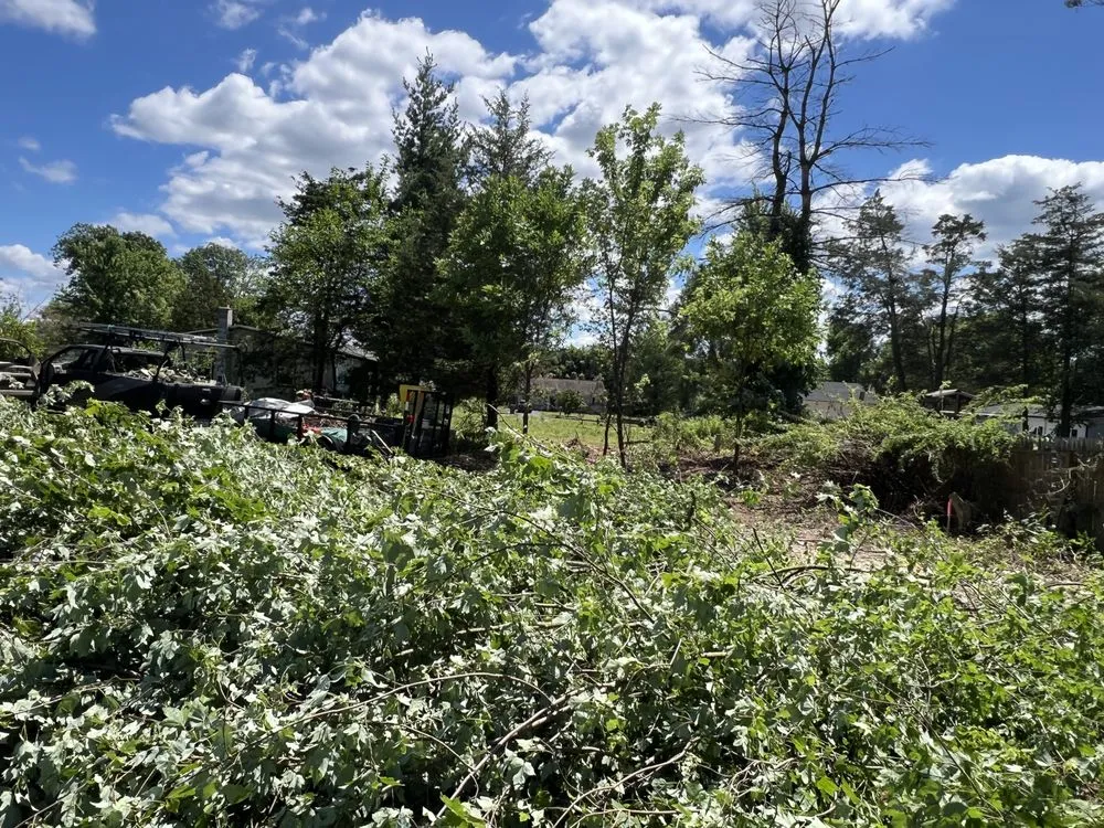 Trusted garden landscaping in Shillington, PA - Gardens Gone Raised