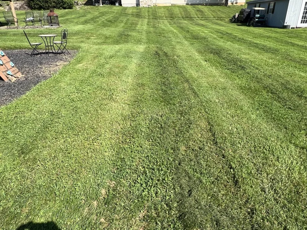 Trusted landscape installation for beautiful yards across Shillington, PA - Gardens Gone Raised