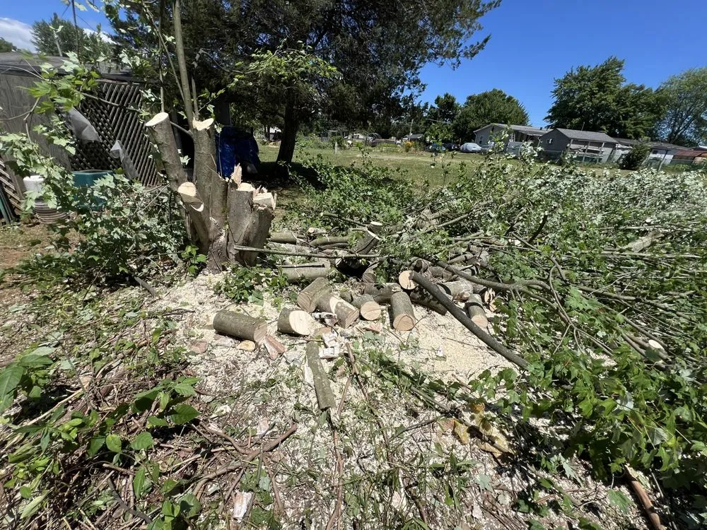 Professional landscaping services near you in Shillington, PA by Gardens Gone Raised