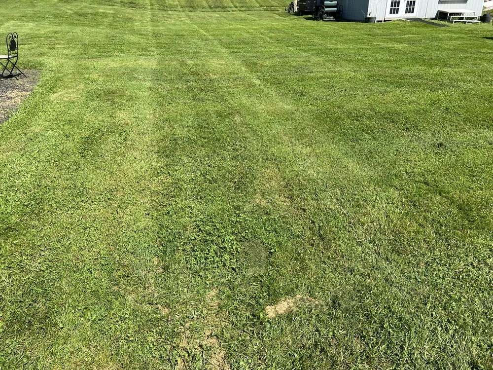 Reliable lawn mowing service in Shillington, PA by Gardens Gone Raised