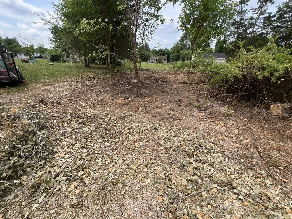 Expert landscaping services for beautiful yards across Shillington, PA - Gardens Gone Raised