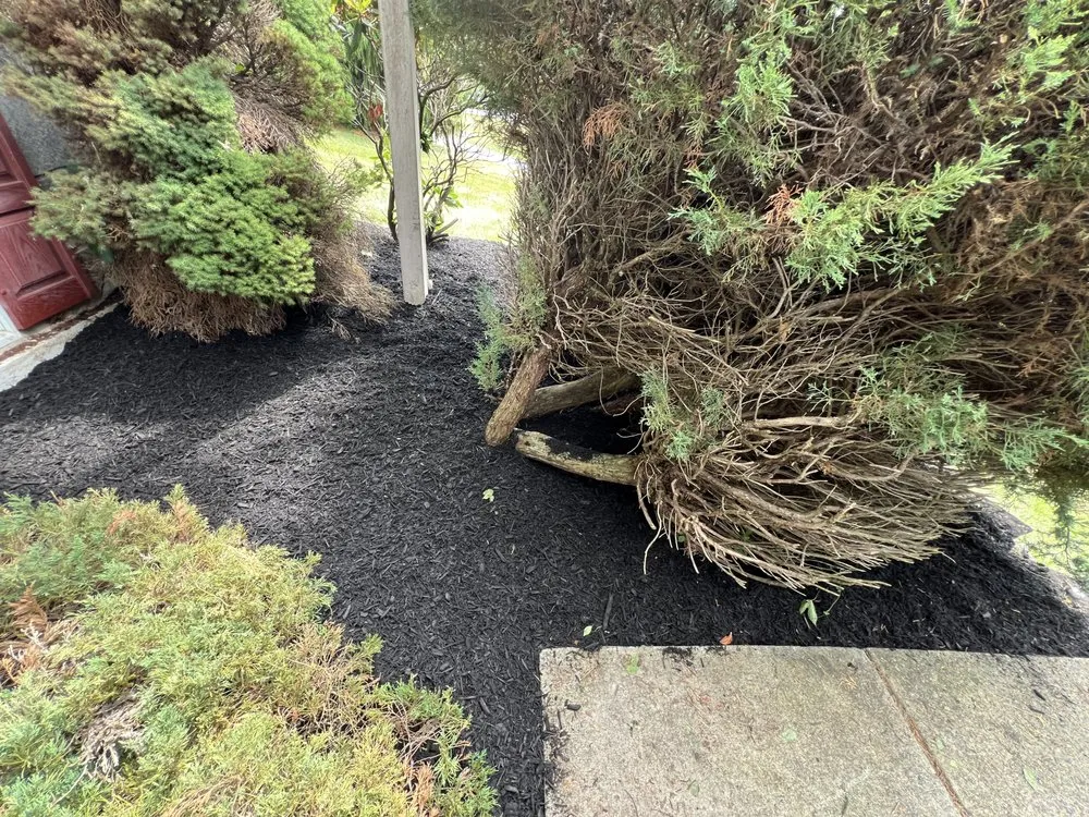 Affordable yard cleanup service with custom design across Shillington, PA - Gardens Gone Raised