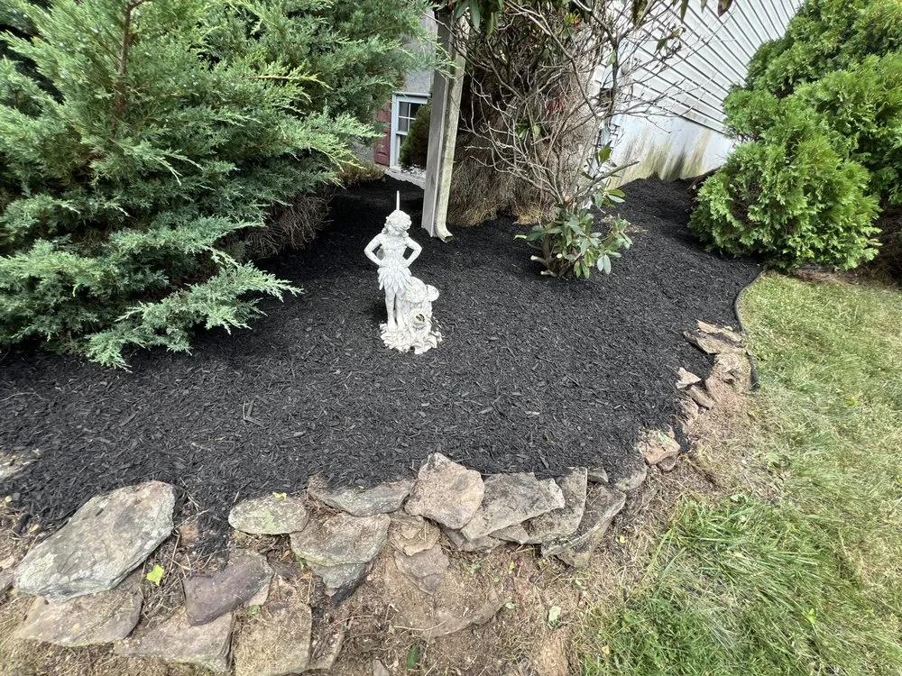 Expert yard cleanup service near you in Shillington, PA by Gardens Gone Raised