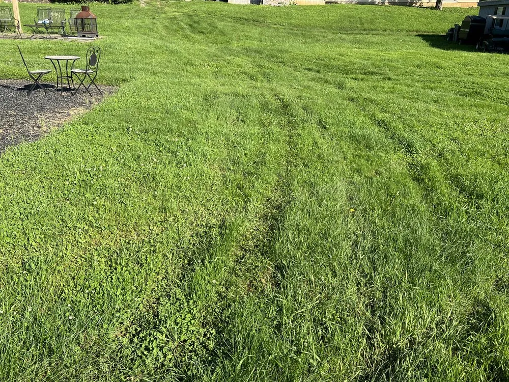 Reliable landscape design for year-round maintenance in Shillington, PA by Gardens Gone Raised