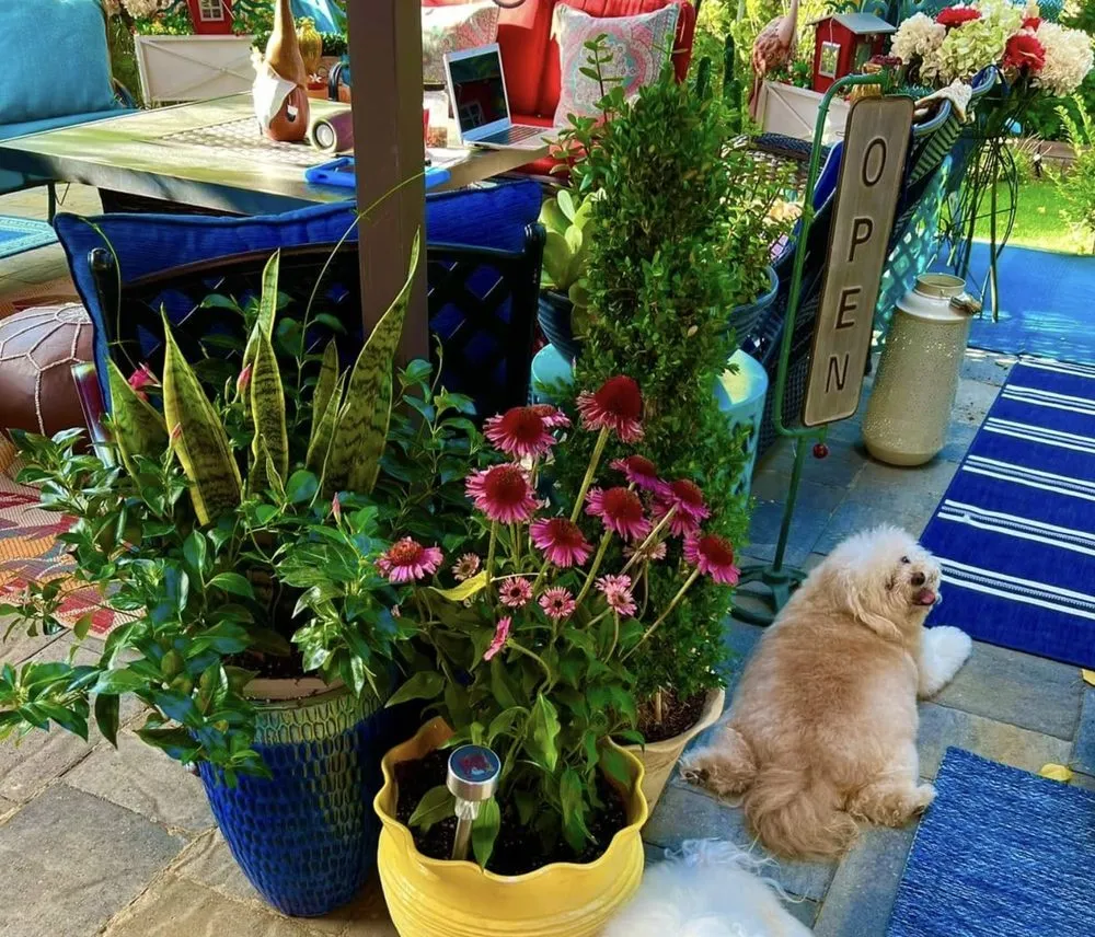 Custom yard cleanup service in Highlands Ranch, CO by Gardens In Bloom Landscaping