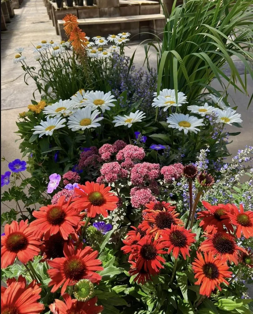 Reliable yard cleanup service for year-round maintenance in Highlands Ranch, CO by Gardens In Bloom Landscaping