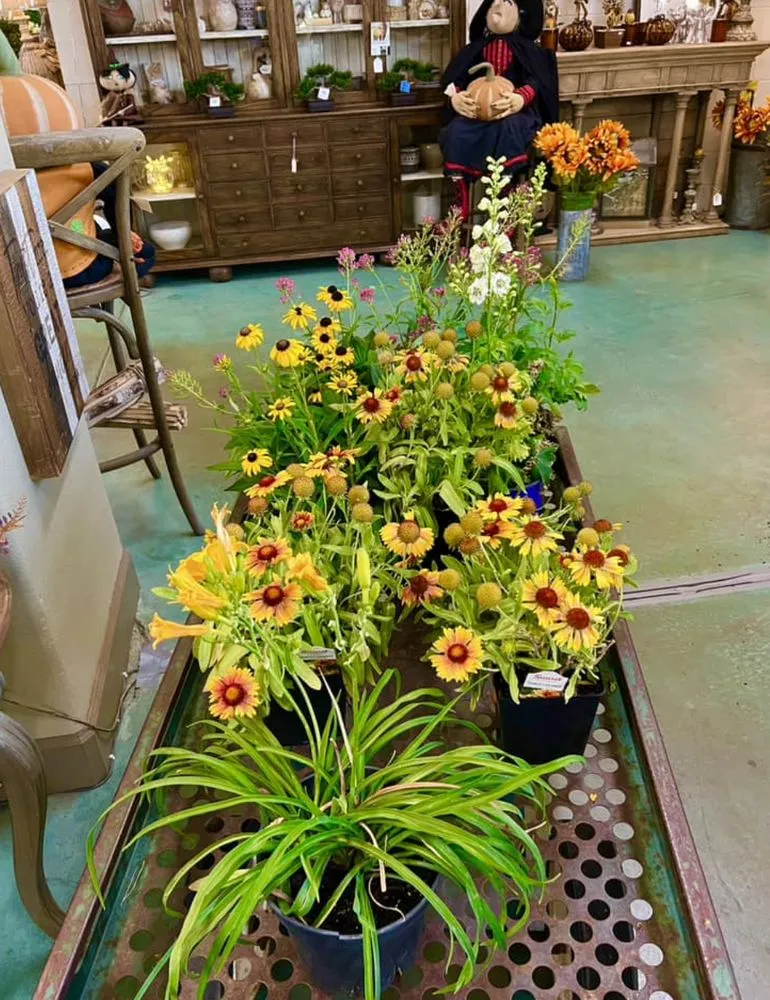 Professional landscape design in Highlands Ranch, CO by Gardens In Bloom Landscaping