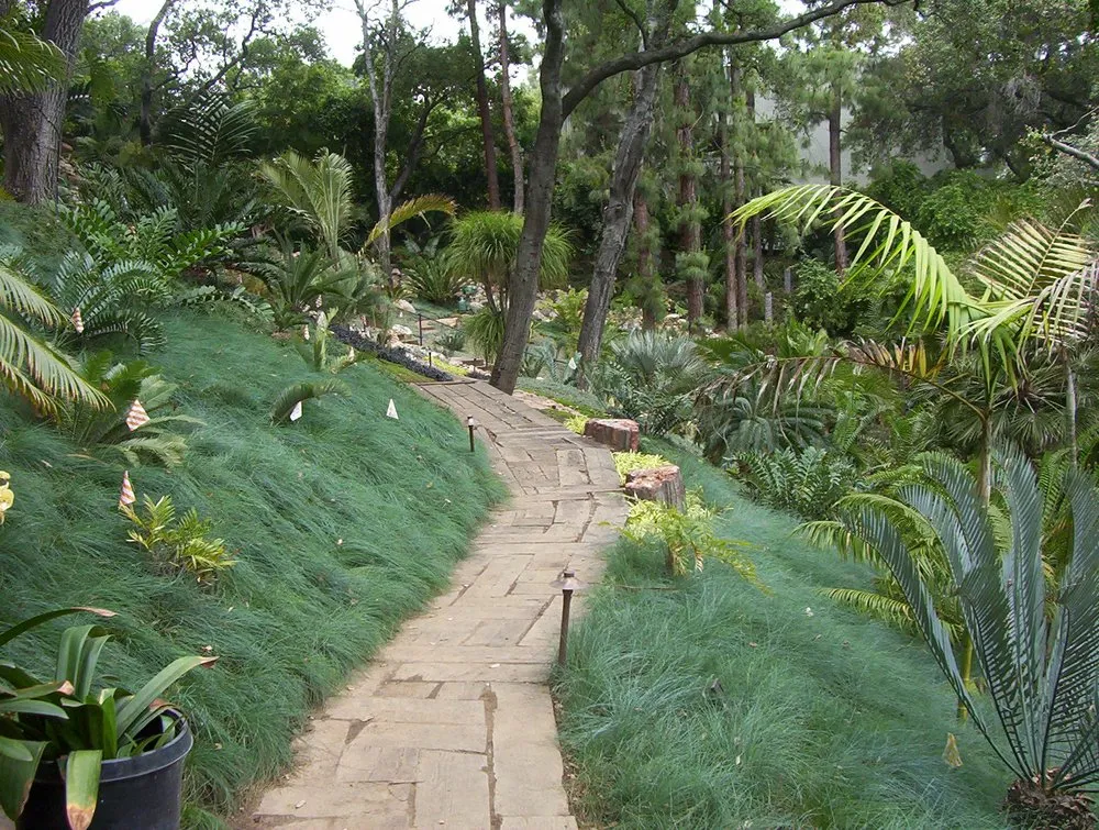 Expert landscape design for outdoor upgrades across Monrovia, CA - Garden's Incorporated