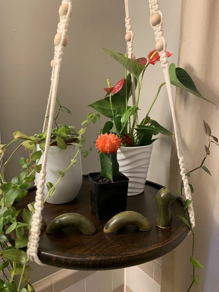 Reliable yard cleanup service experts serving Nashville, TN - Gardens of Babylon Landscapes