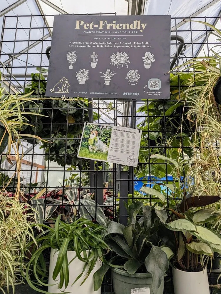 Trusted residential landscaping experts serving Nashville, TN - Gardens of Babylon Landscapes