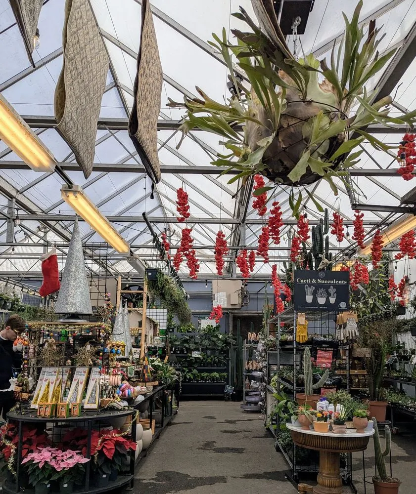 Top-rated yard maintenance in Nashville, TN by Gardens of Babylon Landscapes