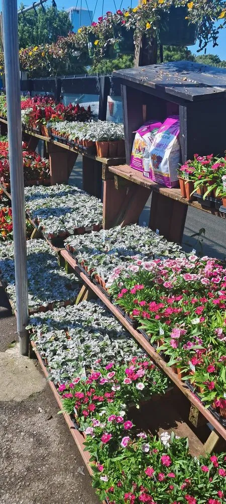 Professional landscape design for residential properties in Nashville, TN by Gardens of Babylon Landscapes