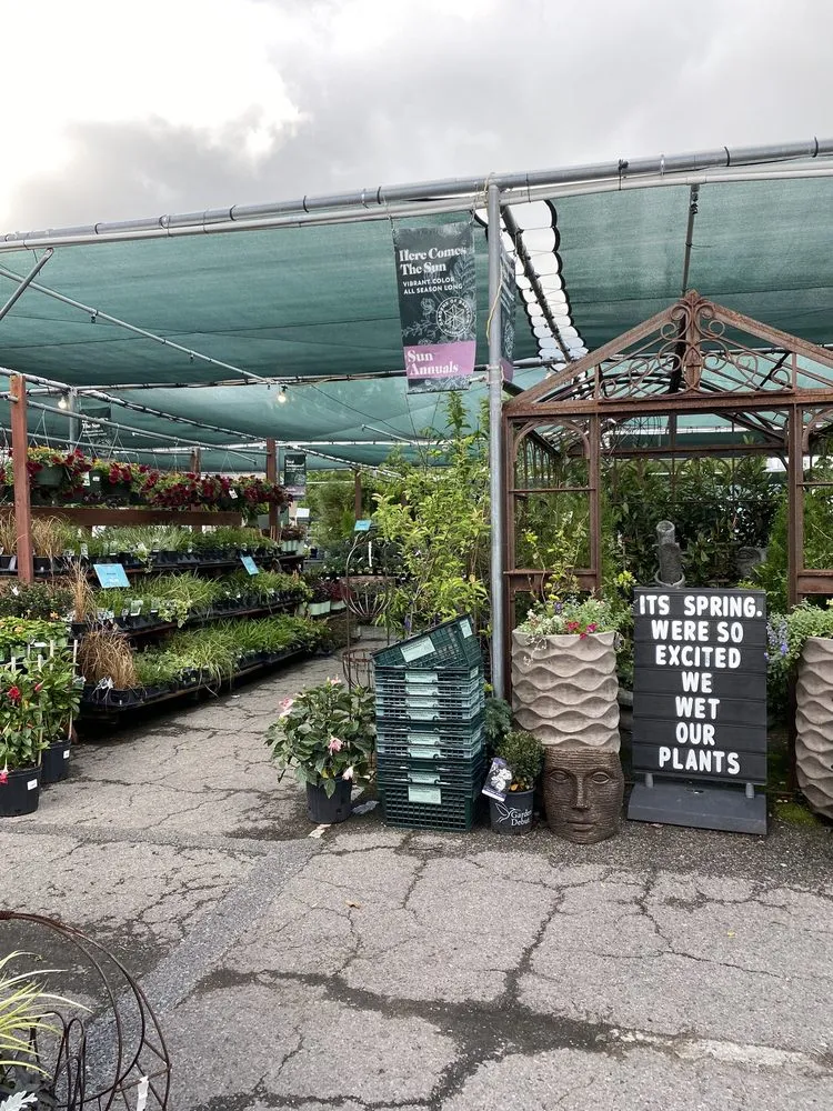 Top-rated lawn care service in Nashville, TN by Gardens of Babylon Landscapes