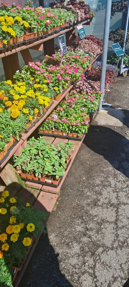 Affordable landscape design near you across Nashville, TN - Gardens of Babylon Landscapes