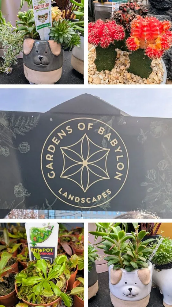 Custom yard cleanup service in Nashville, TN - Gardens of Babylon Landscapes