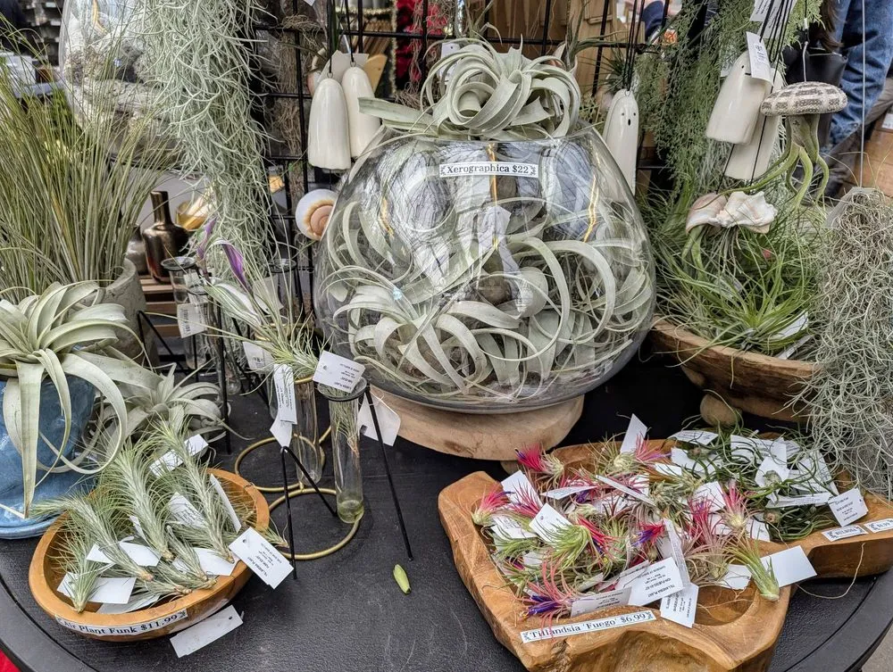 Affordable landscaping services for beautiful yards in Nashville, TN by Gardens of Babylon Landscapes