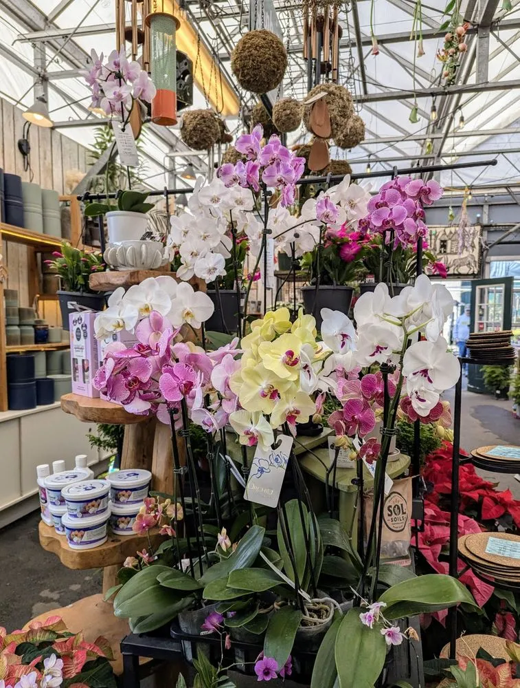 Professional yard maintenance for residential properties across Nashville, TN - Gardens of Babylon Landscapes