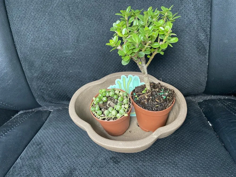 Custom lawn mowing service in Nashville, TN - Gardens of Babylon Landscapes