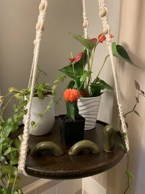 Gardens of Babylon Landscapes