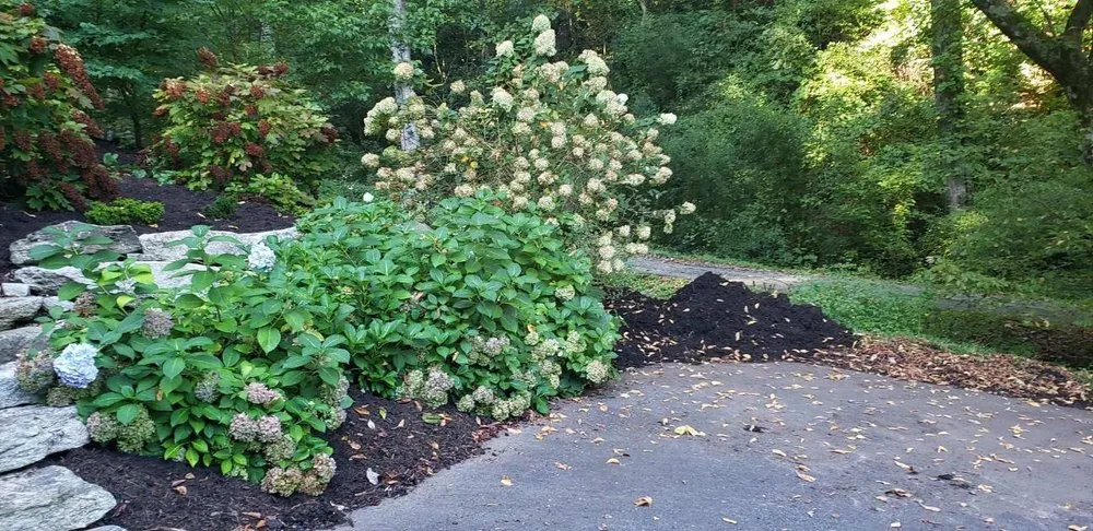 Trusted yard cleanup service in Asheville, NC by Gardens of Eatin Landscaping