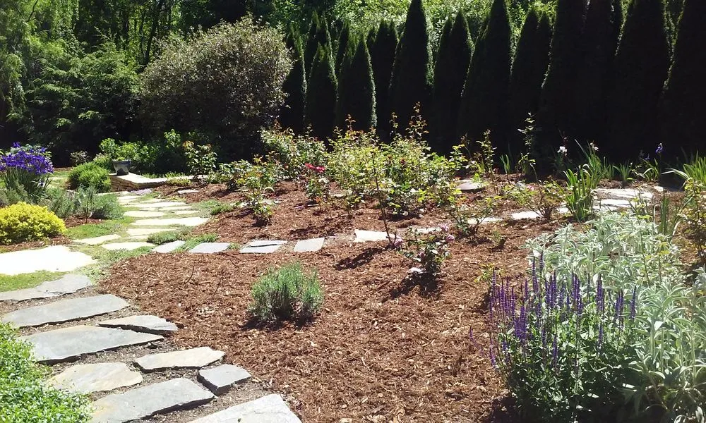 Local yard cleanup service in Asheville, NC - Gardens of Eatin Landscaping