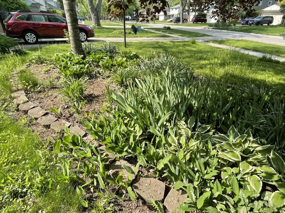 Expert lawn mowing service for year-round maintenance in Pontiac, MI by Gardens of England