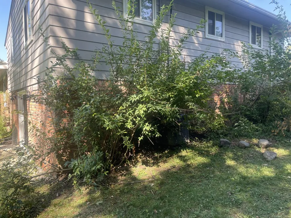 Professional outdoor landscaping in Pontiac, MI by Gardens of England