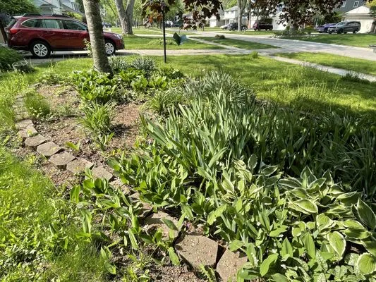 Gardens of England Logo