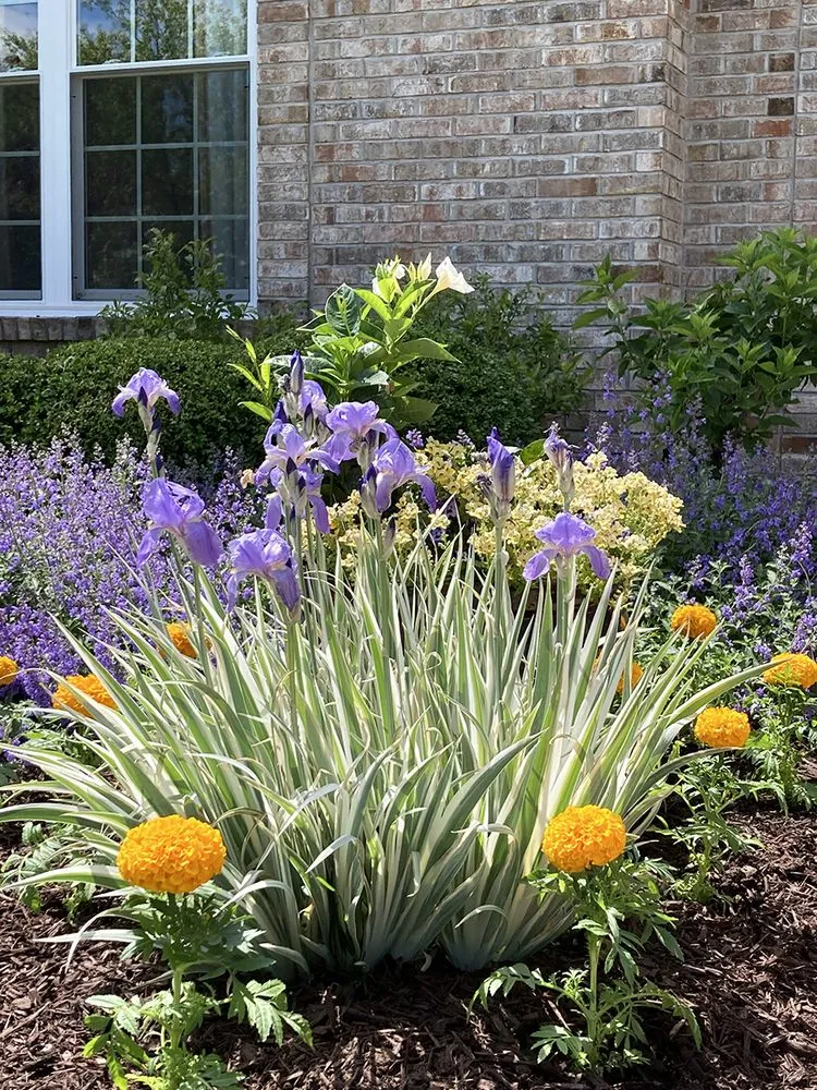 Affordable garden landscaping experts serving Columbia, IL - Gardens of Grace